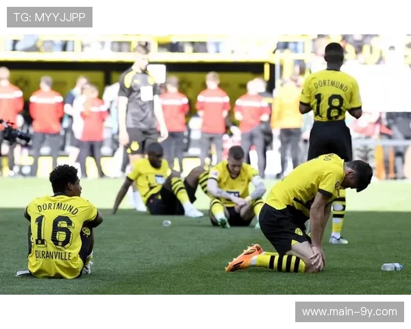 球迷不当行为遭处罚,多特蒙德关闭部分看台 球迷不当行为遭处罚,多特蒙德关闭部分看台
